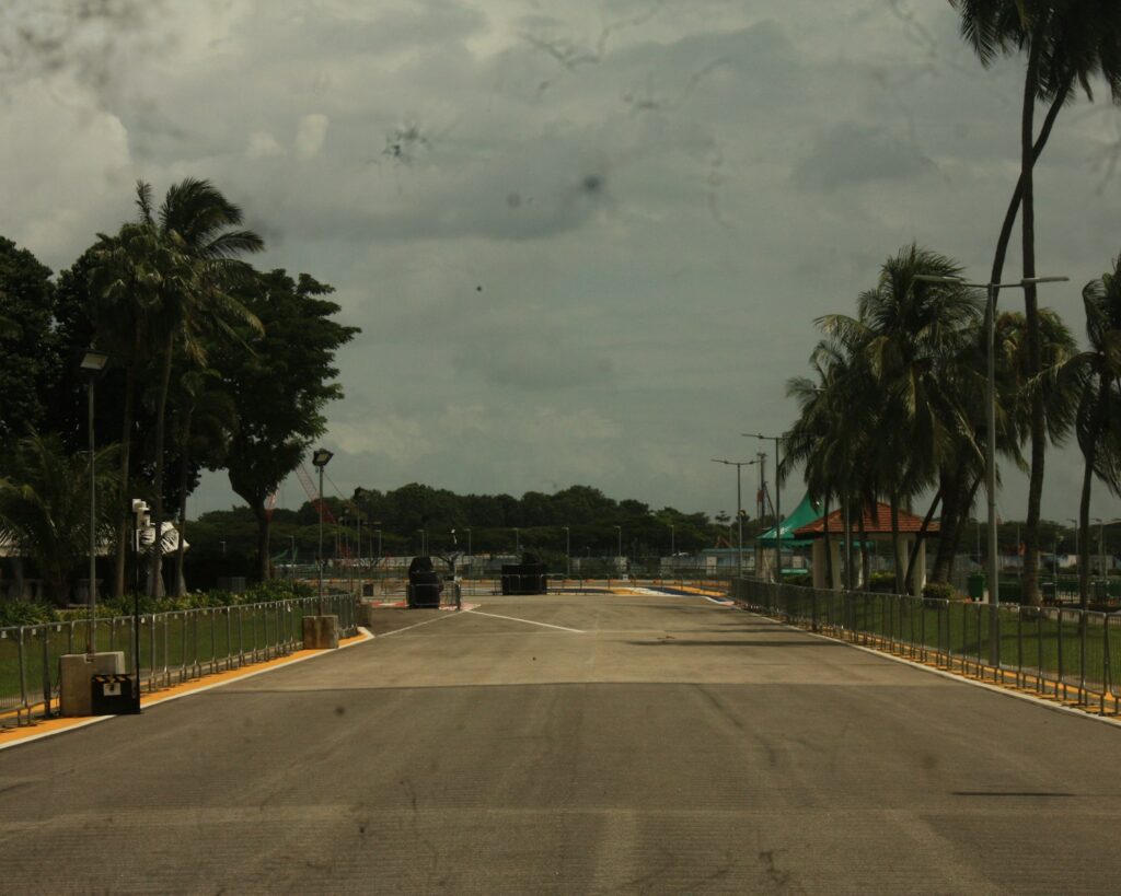 An empty street with palm trees on both sides