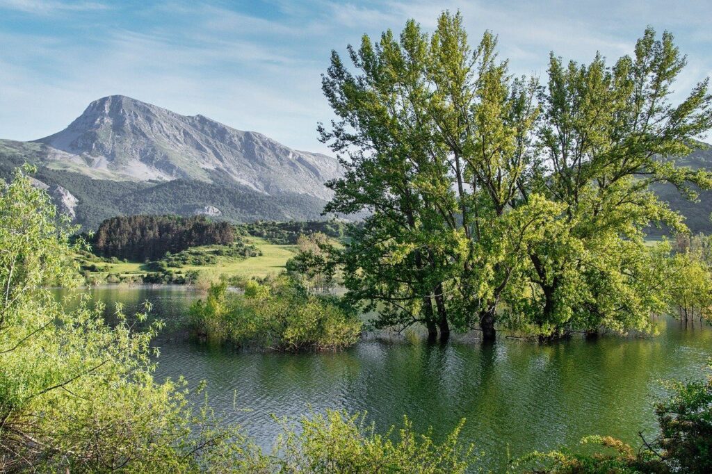 lake, tree, mountain, nature, landscape, green, sky, cloud, forest, natural, spring, pond, reflect, peace, beech, trail, relaxing, tranquil, water